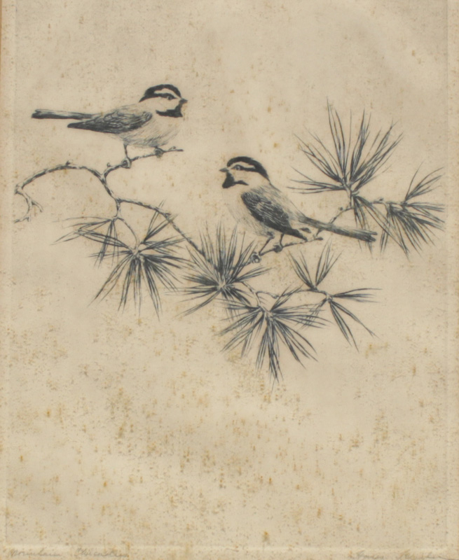 Appraisal: KLEIBER Hans American - ''Mountain Chickadees'' Etching sight size ''