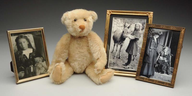 Appraisal: Steiff White Mohair Teddy Bear With shoe-button eyes very good