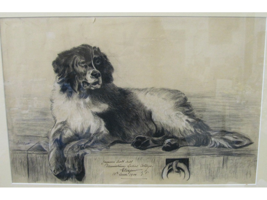 Appraisal: Framed sketch of dog with an inscription Jemima Scott Hill