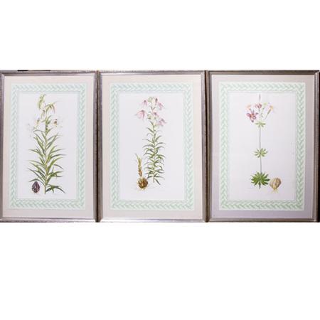 Appraisal: Margaret Stones FLOWER STUDIES Three color photoreproductions Estimate -