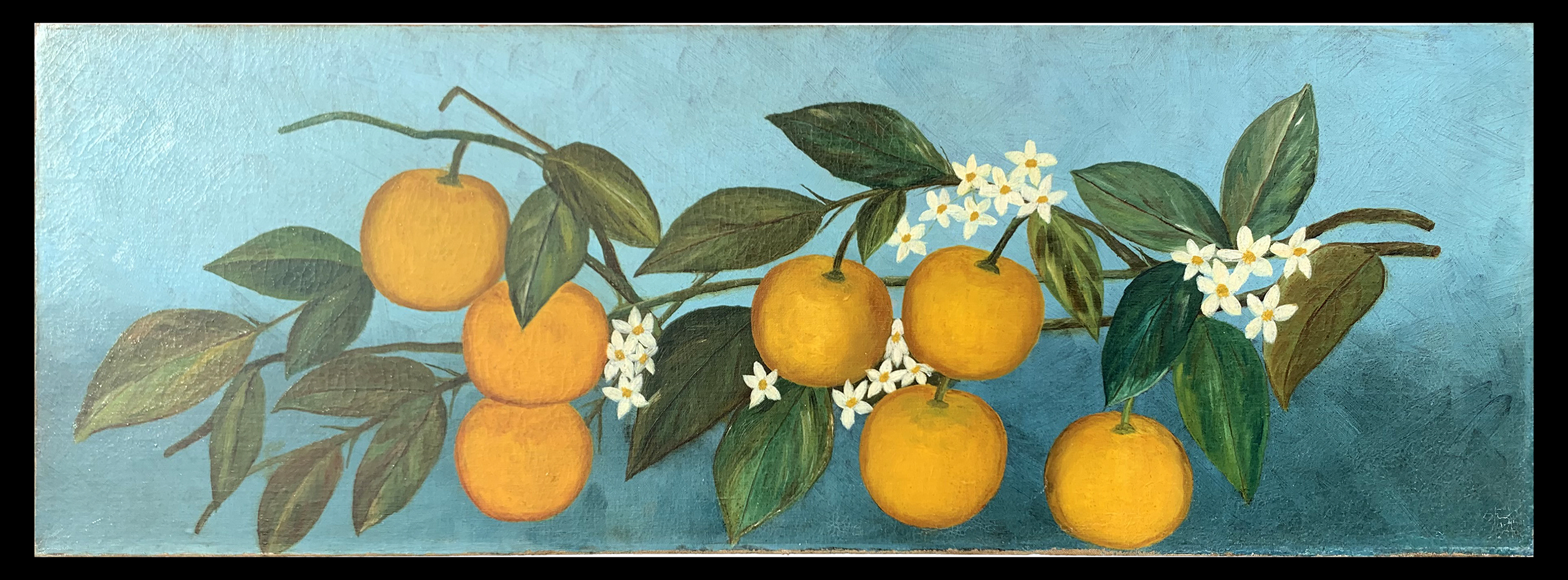 Appraisal: FLORIDA SCHOOL EARLY TH C PAINTING OF ORANGES Oil Canvas