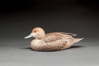 Appraisal: Pintail Hen Randy Tull b Hayward WI c A fine