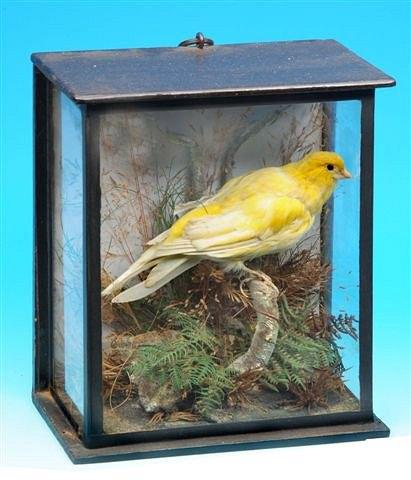 Appraisal: A CANARY PERCHED ON A BRANCH decorated with ferns and