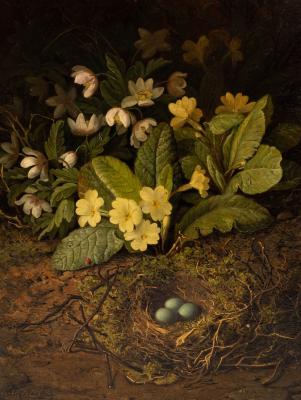 Appraisal: John Fitz Marshall - Birds Nest with Eggs Below Primroses