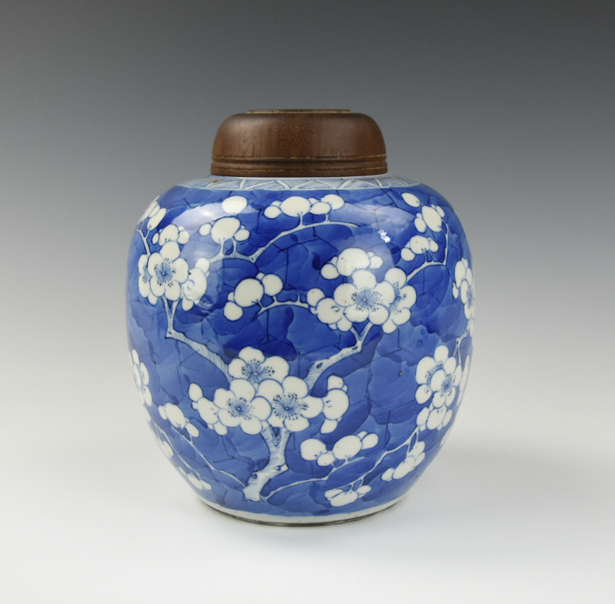 Appraisal: CHINESE BLUE WHITE PRUNUS JAR KANGXI PERIOD Chinese Kangxi Period