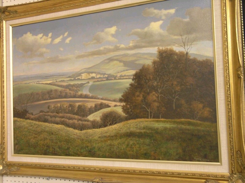 Appraisal: David Mead - oil on canvas a view from Arundel