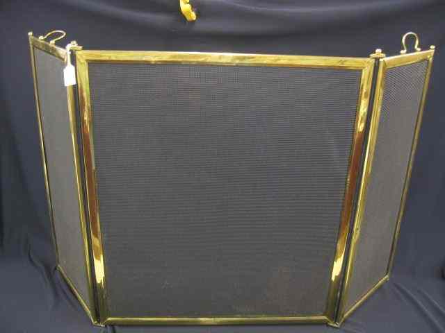 Appraisal: Brass Fireplace Screen wire mesh '' tall '' wide