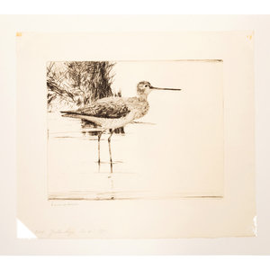 Appraisal: Frank Weston Benson American - Yellowlegs No Etching signed Frank