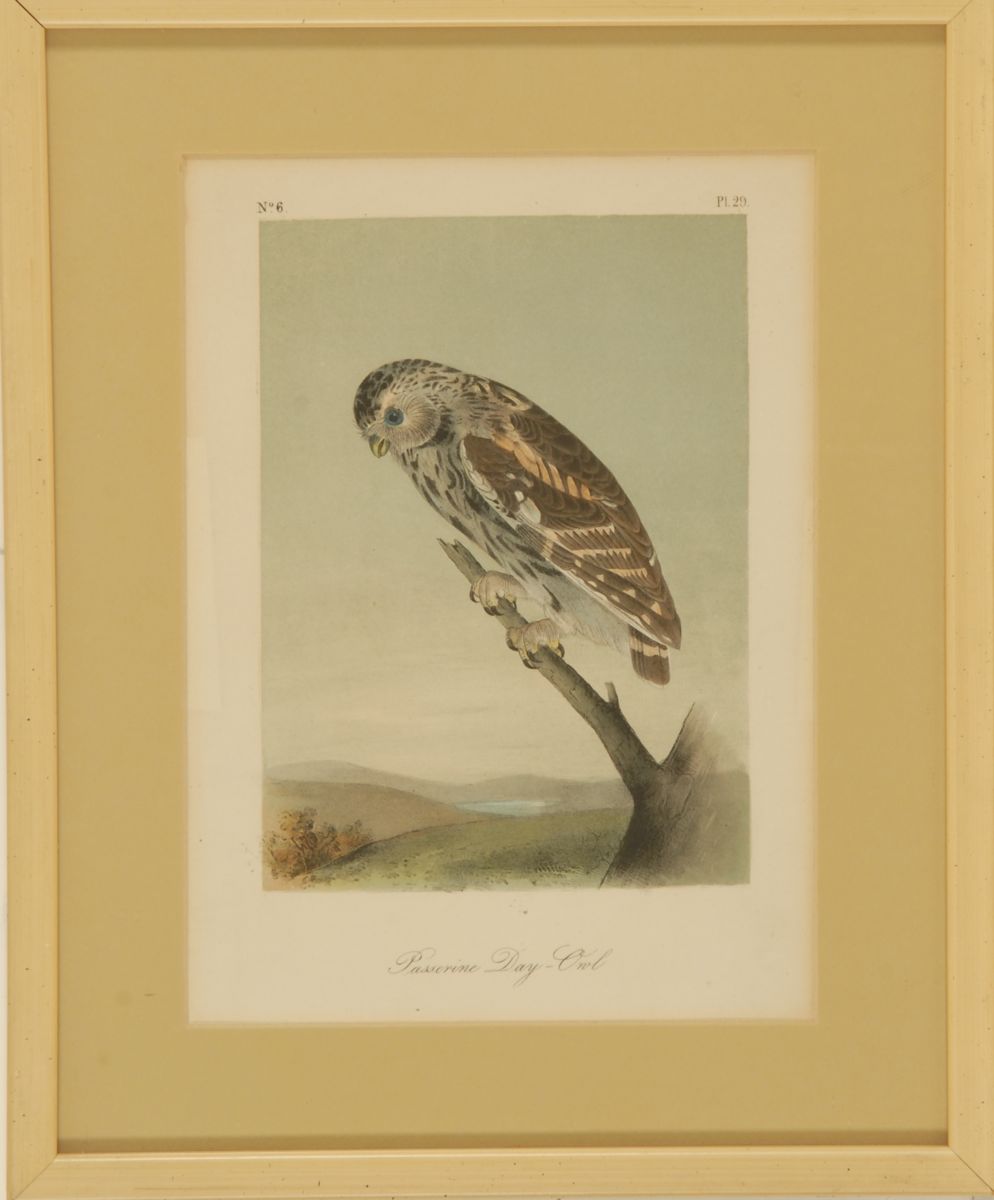 Appraisal: THREE FRAMED HAND-COLORED LITHOGRAPHS Depicting owls Dated x