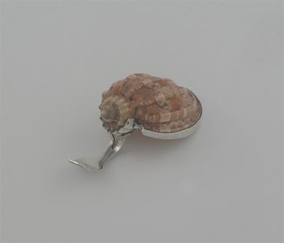 Appraisal: A George III mounted natural shell caddy spoon with a