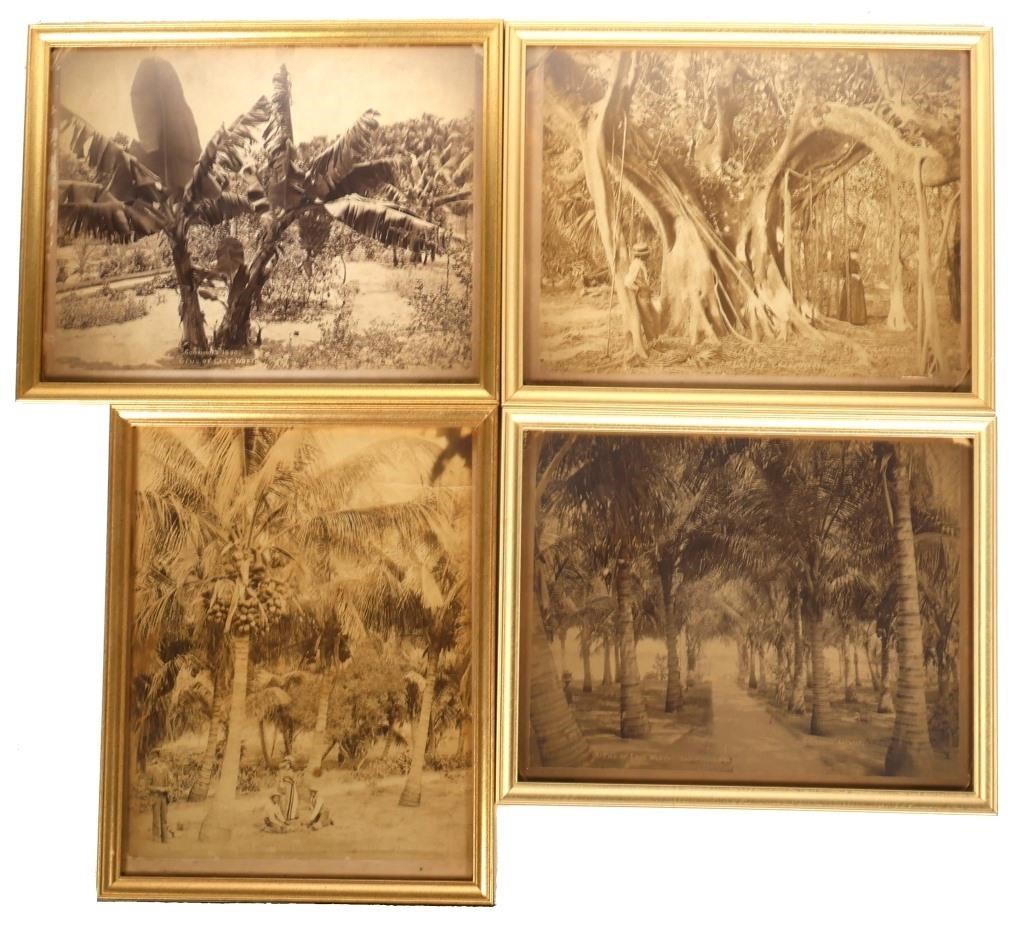 Appraisal: Here are four albumen photo prints larger than usually seen