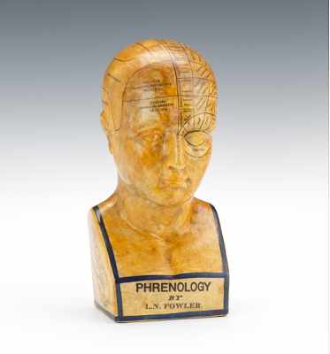 Appraisal: An L N Fowler Phrenology Bust A ceramic Fowler's phrenological