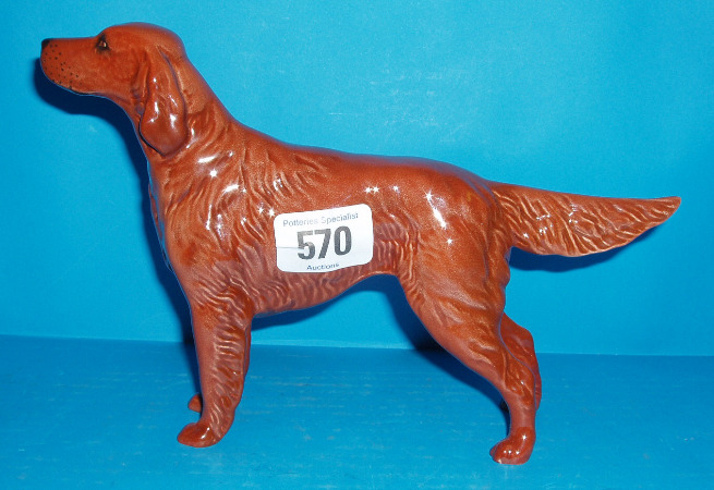 Appraisal: English Red Setter