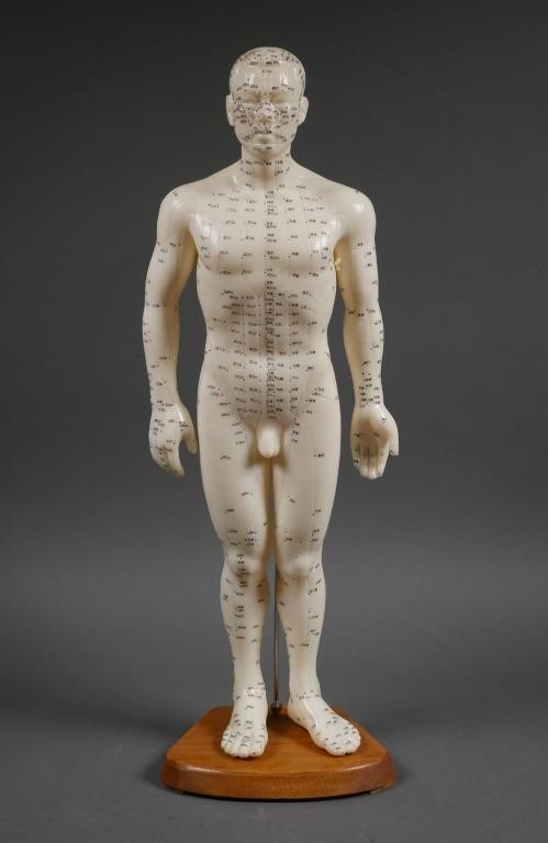 Appraisal: Human male acupuncture body model with stand Flexible rubberized plastic