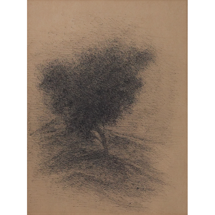 Appraisal: Richard Mayhew American b ''Study of a Tree '' ink