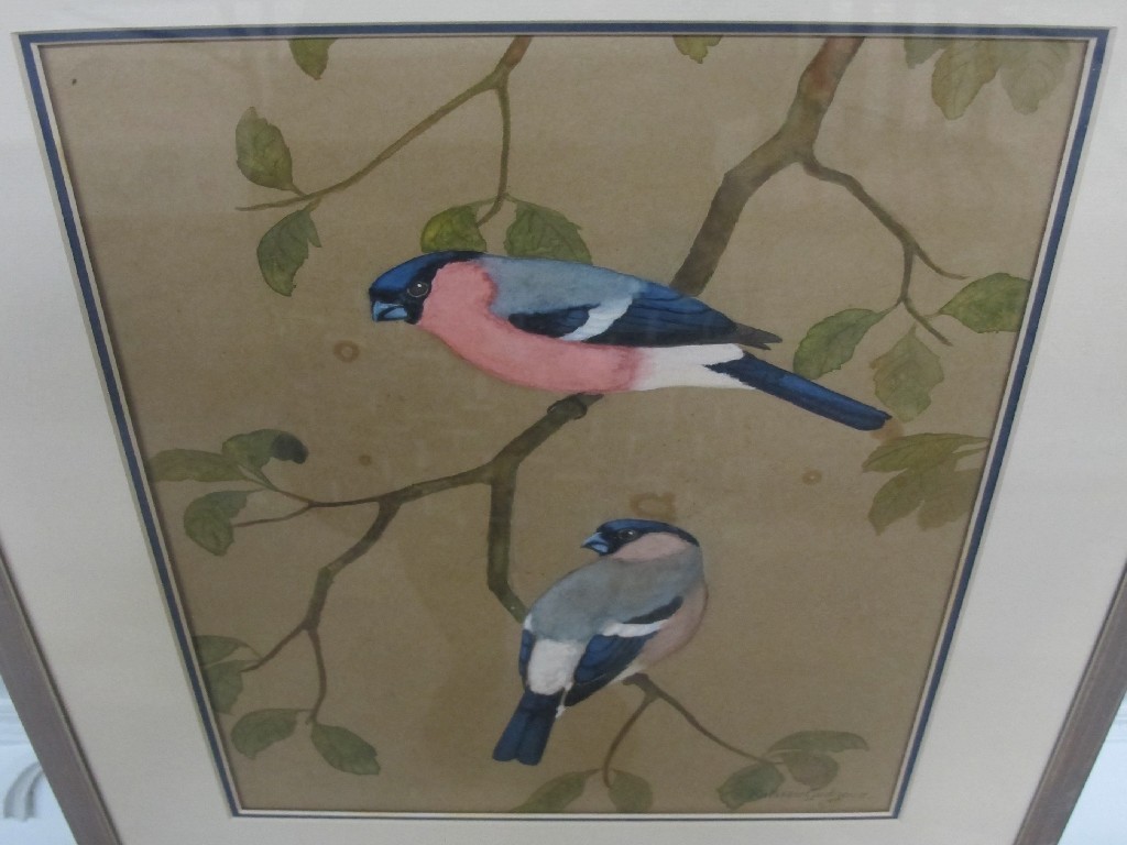 Appraisal: RALSTON GUDGEON RSW Watercolour 'Bullfinches' signed