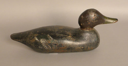 Appraisal: Scoter decoy attributed to Mason early th c l