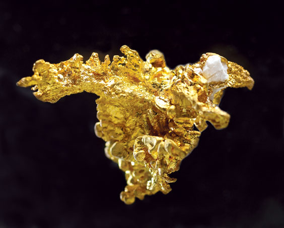 Appraisal: CRYSTALLINE GOLD IN QUARTZ Mockingbird Mine Mariposa County California A