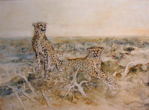 Appraisal: Cheetahs in the Outback Artist Boissevain O B E William