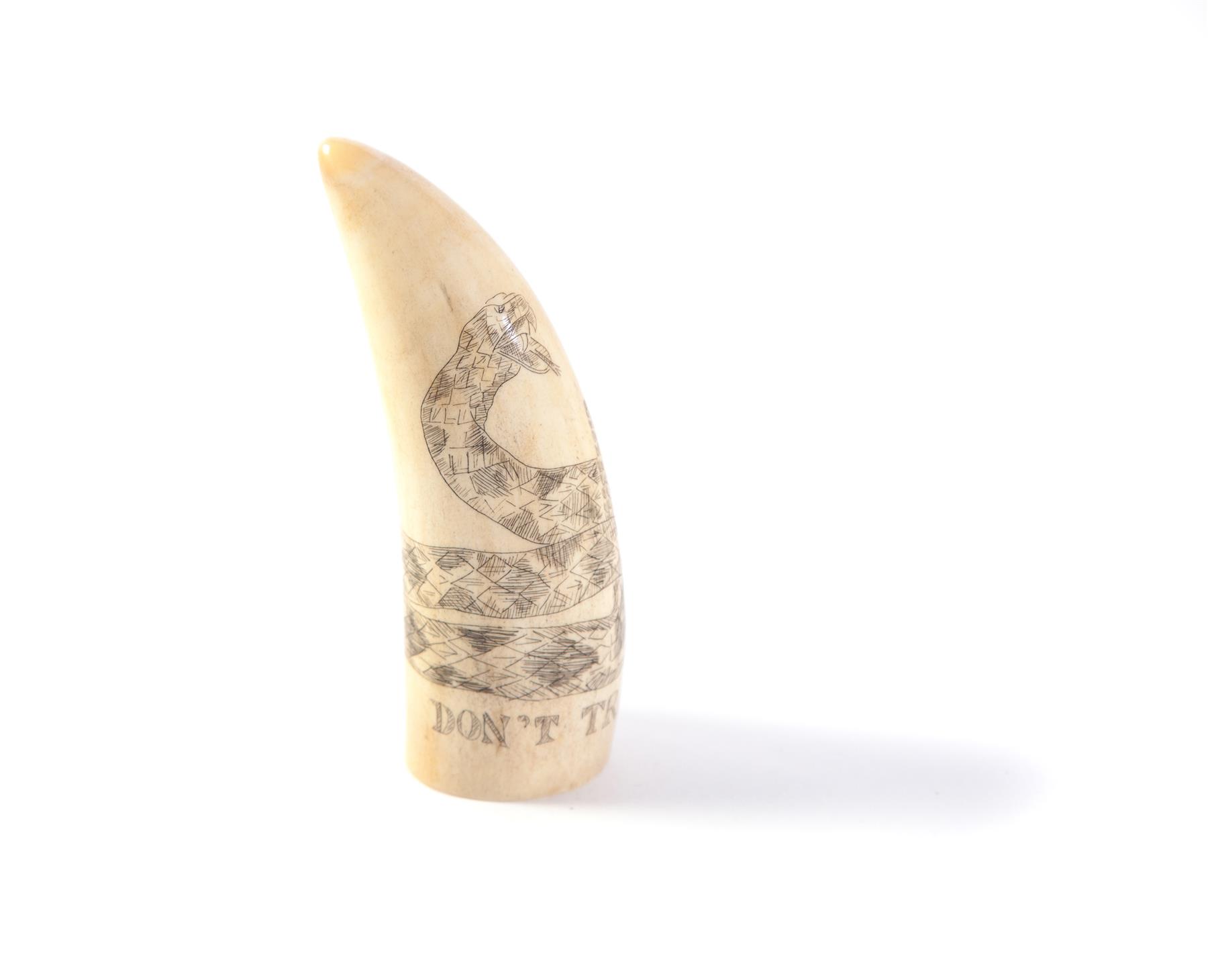 Appraisal: SCRIMSHAW WHALE TOOTH Mid th century Snake eagle and anchor