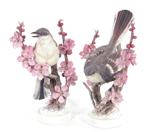 Appraisal: Pair Royal Worcester Dorothy Doughty Mockingbirds with Peach Blossoms H