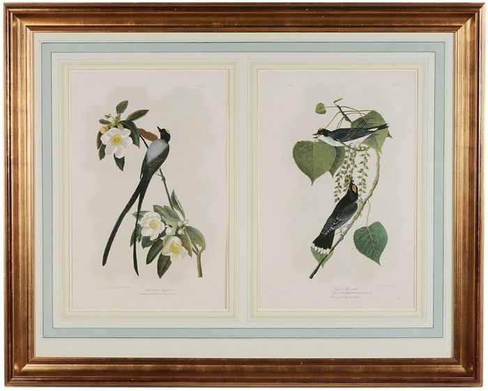 Appraisal: After John James Audubon New York - Forked-Tailed Fly Catcher