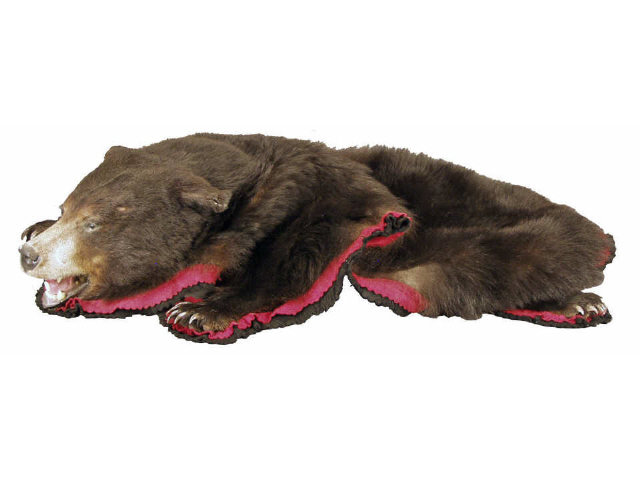 Appraisal: Excellent black bear skin rug with felt back Estimate -