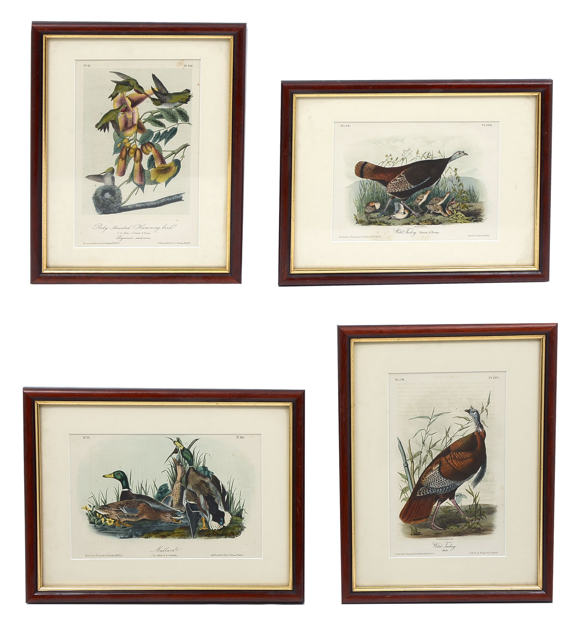 Appraisal: FOUR AUDUBON OCTAVO LITHOGRAPHS Ruby-Throated Hummingbird Mallard Duck Wild Turkey