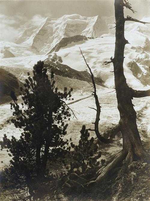 Appraisal: STEINER ALBERT - Piz Pal Silver gelatine print on paper