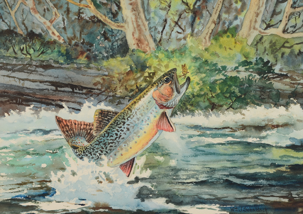 Appraisal: SCHALDACH William Joseph American - Trout Feeding on a Fly