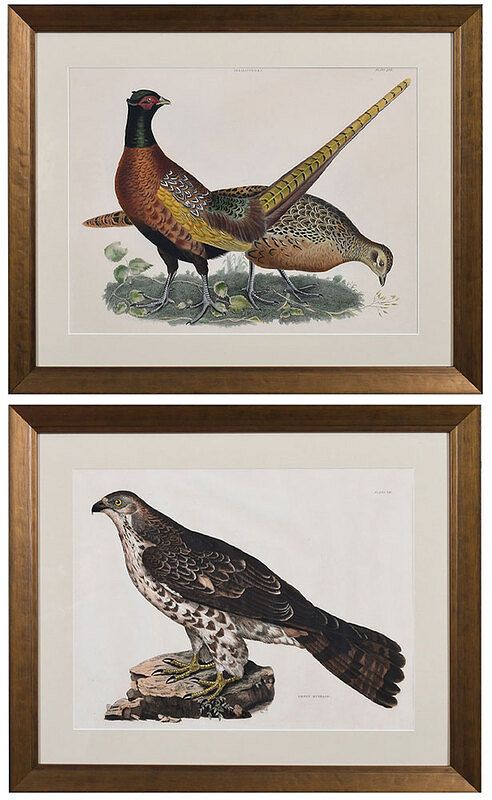 Appraisal: Prideaux John Selby British - Two Ornithological Prints Pheasants Plate