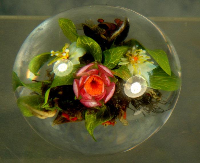 Appraisal: Paul Stankard botanical and root paperweight flowers and a bee