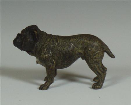 Appraisal: A th century Austrian cold painted bronze bulldog standing on