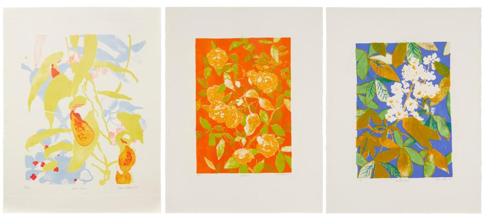 Appraisal: John Napper - Three works Stove Plants Yellow Rose and