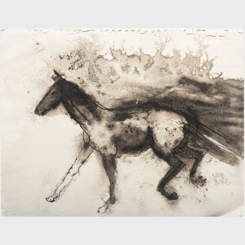 Appraisal: WILLIAM THON - HORSES THREE STUDIES Three ink on paper