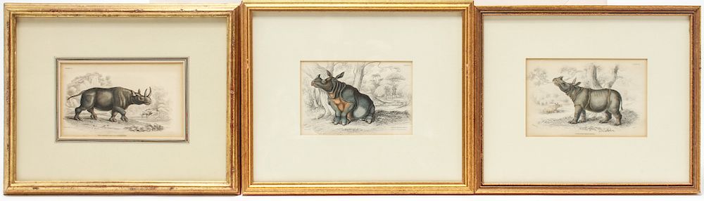 Appraisal: Hand-Colored Rhinoceros Engravings Circa Three hand-colored rhinoceros engravings featuring a