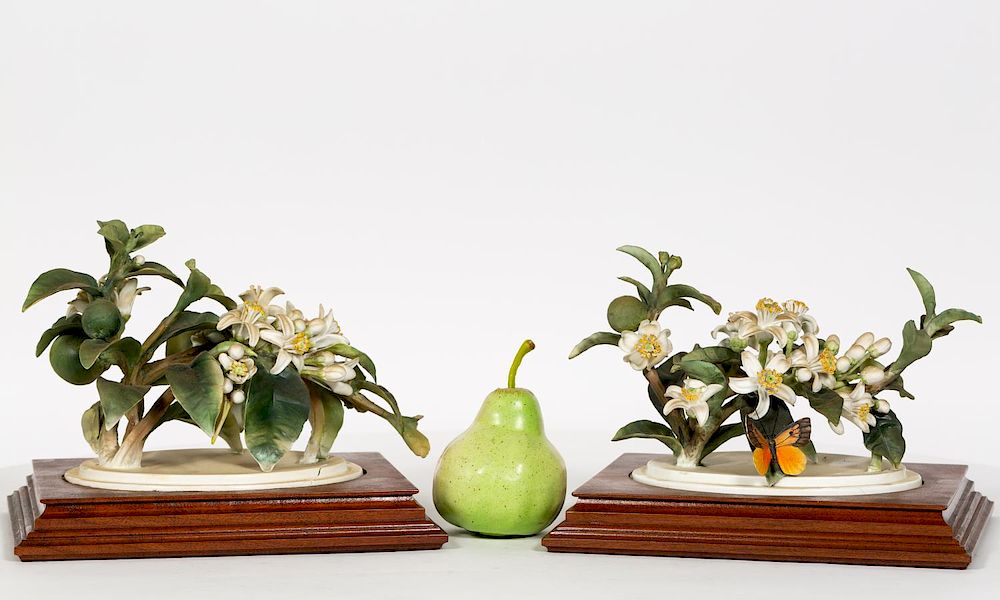 Appraisal: Pair Doughty Orange Blossoms w Stands Dorothy Doughty Italian -