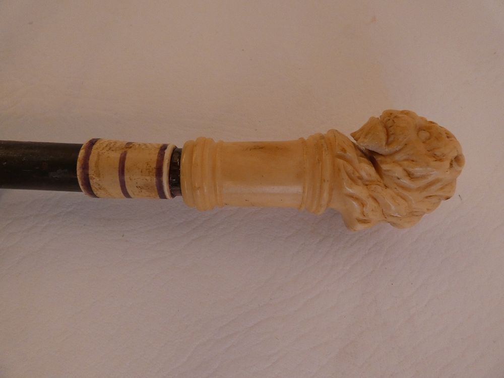 Appraisal: ANTIQUE BONE LION HEAD CANE Antique cane with carved bone