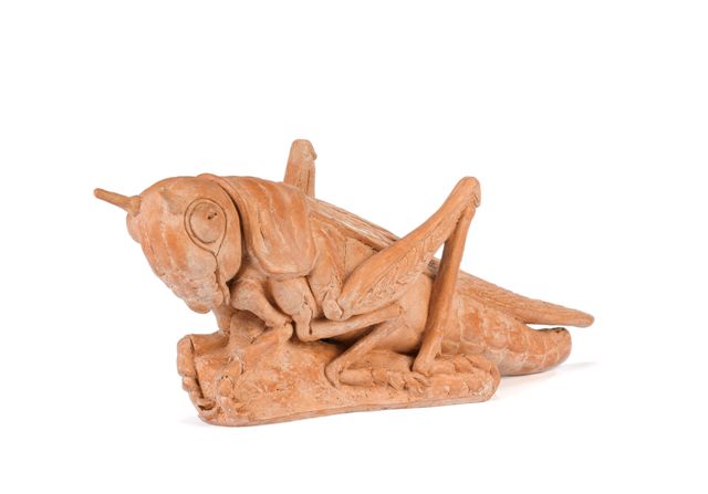 Appraisal: Barbara Tribe - Grasshopper terracotta inscribed 'Barbara Tribe ' length