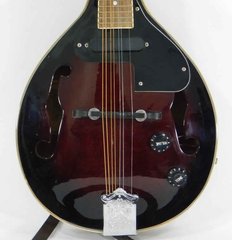 Appraisal: BESTLER M STRING ELECTRIC MANDOLIN United States th CenturyA type