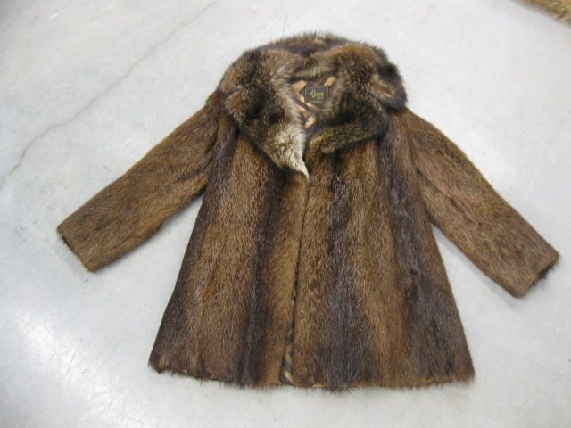 Appraisal: Beaver Fur Coat fox collar medium