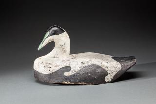 Appraisal: Eider Drake Wilmer L Ames - Matinicus Island ME c