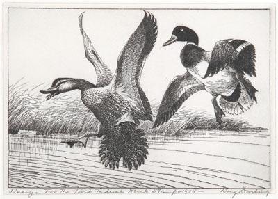 Appraisal: Norwood Federal duck stamp print Mallards Mallards Dropping In with