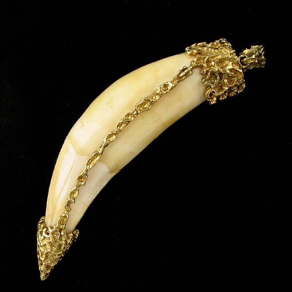 Appraisal: A gold capped animal tooth pendant