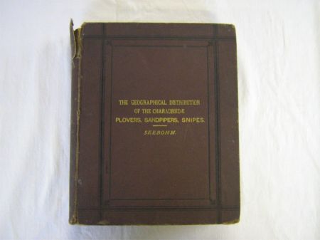 Appraisal: HENRY SEEBOHM THE GEOGRAPHICAL DISTRIBUTION OF THE FAMILY CHARADIIDAE OR