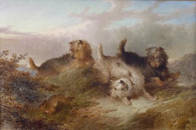 Appraisal: Paul Jones British act - Terriers Hunting a Rabbit Lurchers