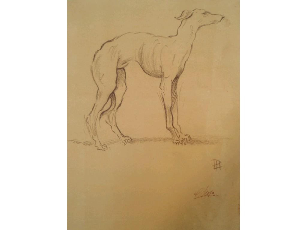 Appraisal: A collection of five crayon sketch studies of dogs all