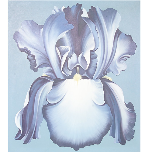 Appraisal: Lowell Nesbitt American - Blue Iris x inches oil on