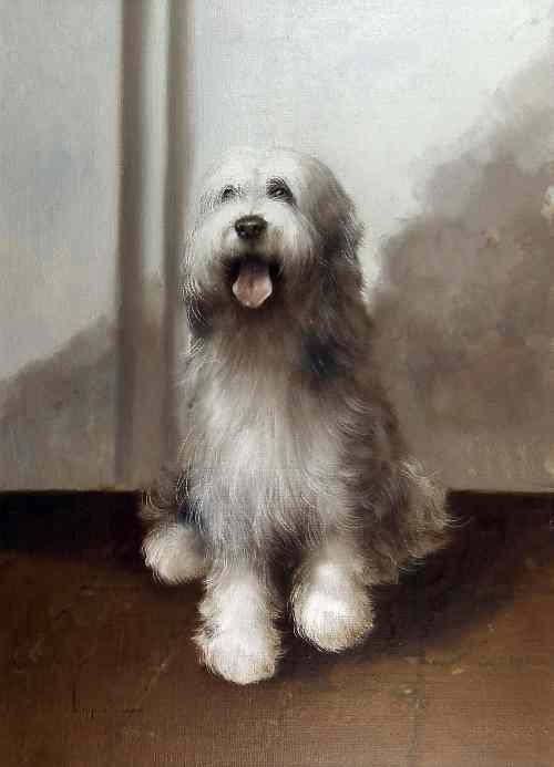 Appraisal: th Century Italian School - ''Old English Sheepdog'' canvas ins