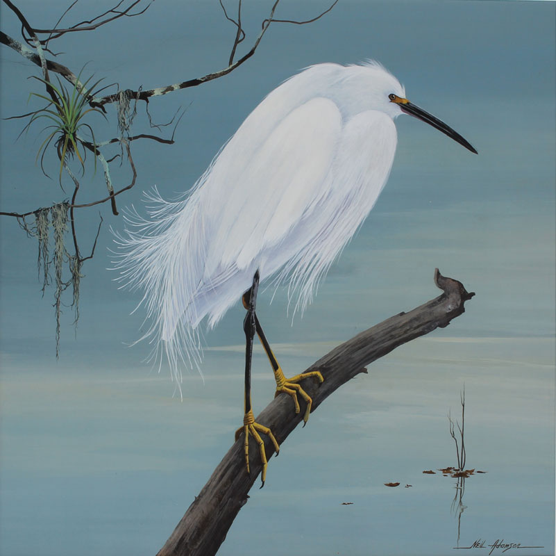 Appraisal: ADAMSON Neil American th Century ''Snowy Egret'' Watercolor and Gouache